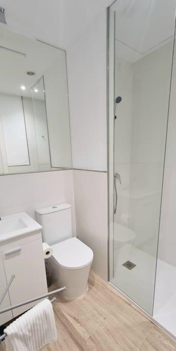 En El Centro Bajo A Apartamento